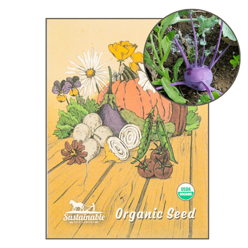 Purple Vienna Kohlrabi (Organic) True Leaf Market