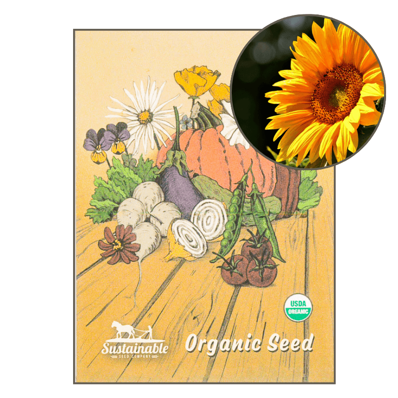 Skyscraper Sunflower (Organic) True Leaf Market
