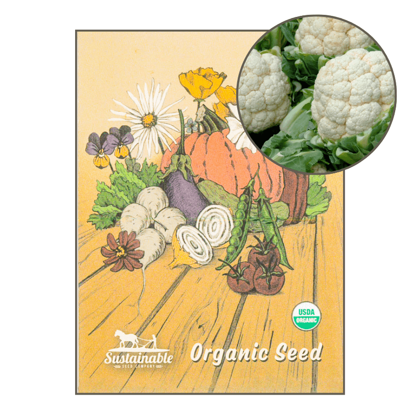 Snowball Cauliflower (Organic) True Leaf Market