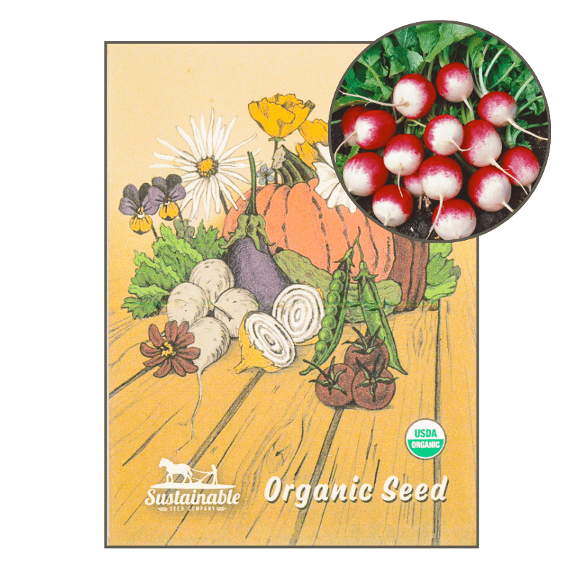 Sparkler Radish White Top (Organic) True Leaf Market