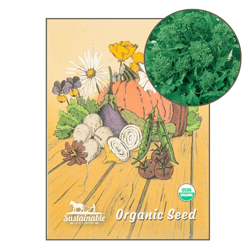 Spring Rapini Broccoli (Organic) True Leaf Market