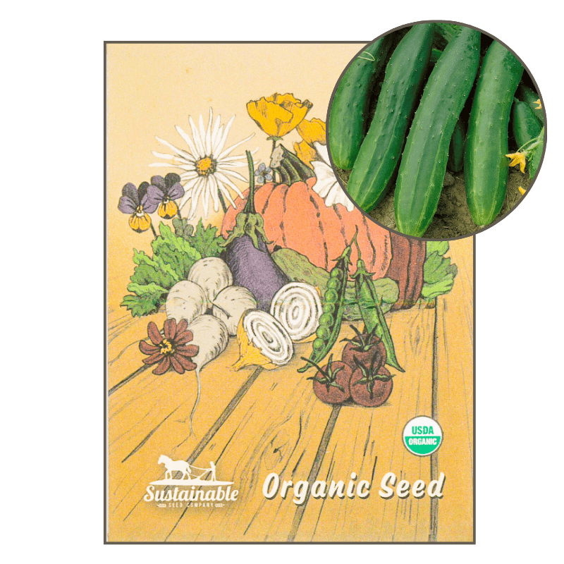 Straight Eight Cucumber (Organic) True Leaf Market