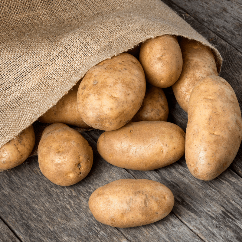 Burbank Russet Potato (Organic) Grow Organic