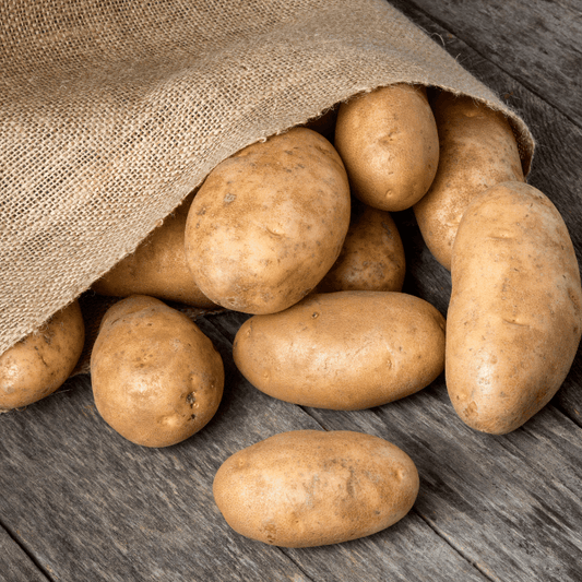 Burbank Russet Potato (Organic) Grow Organic