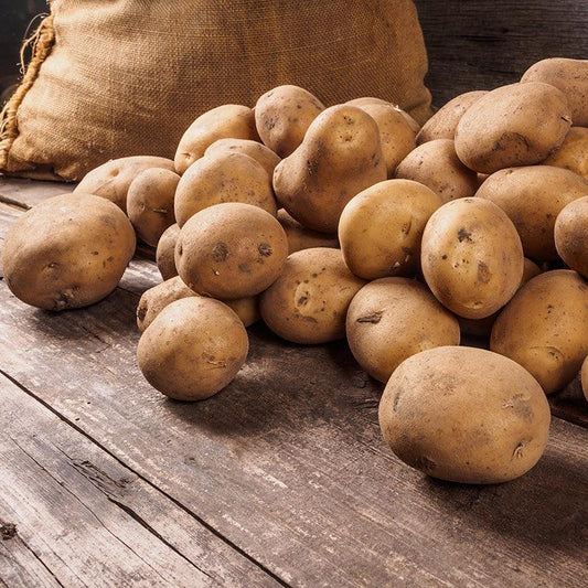 Yukon Gold Potato (Organic) Grow Organic