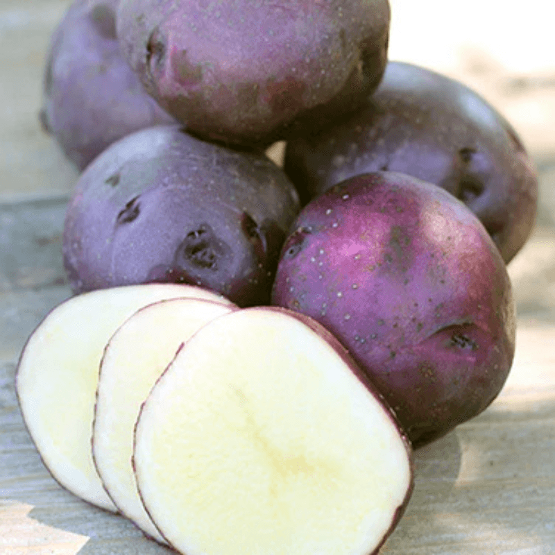 Huckleberry Gold Potato (Organic) Grow Organic