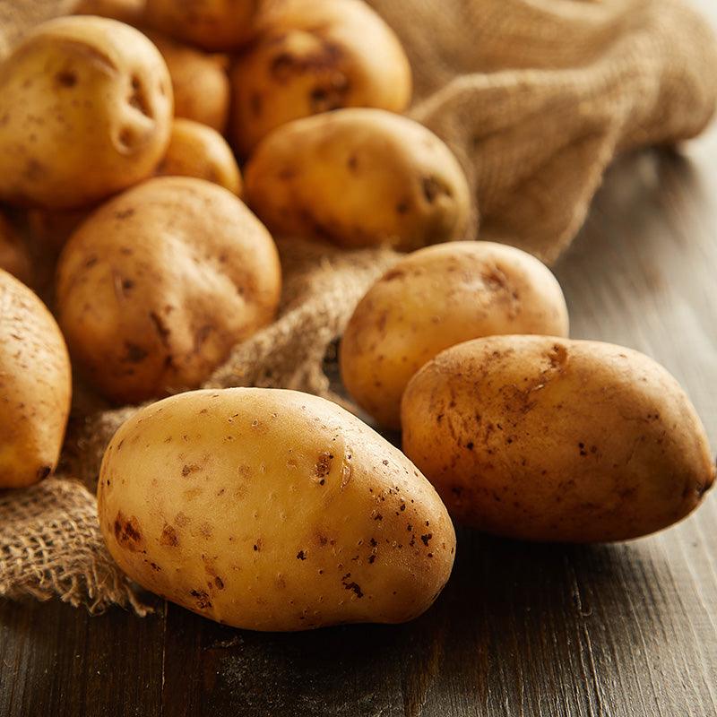 Cal White Potato (Organic) Grow Organic