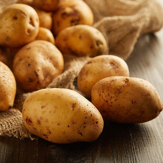 Cal White Potato (Organic) Grow Organic