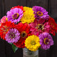 A watering pale with a bouquet of County Fair Blend Zinnia, Vibrant colors including red, yellow, pink and purple