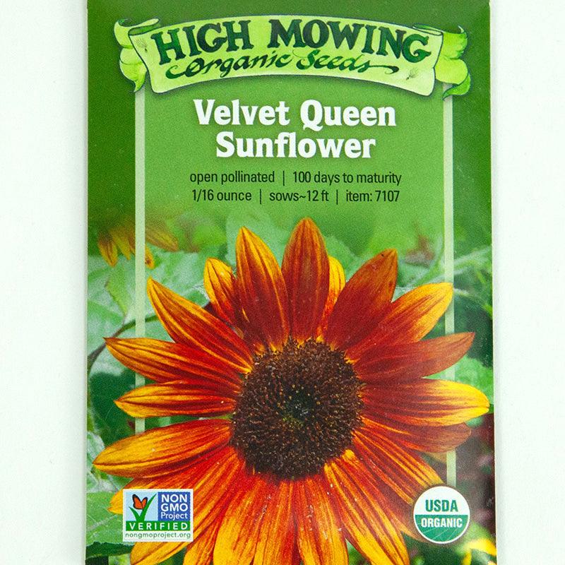 Velvet Queen Sunflower Seeds (Organic) High Mowing Seeds