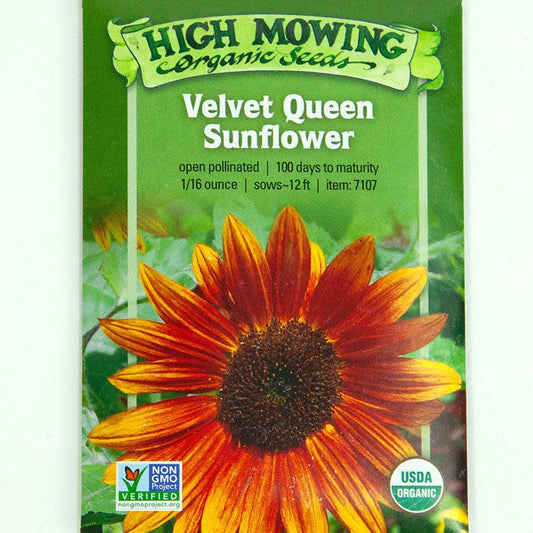 Velvet Queen Sunflower Seeds (Organic) High Mowing Seeds