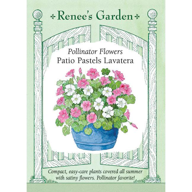 Patio Pastels Lavatera Renee's Garden