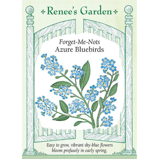 Forget-Me-Not Azure Bluebirds Renee's Garden