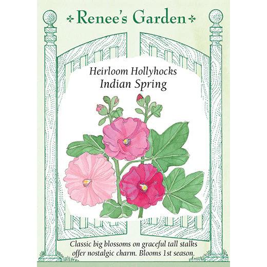 Indian Spring Hollyhock Renee's Garden