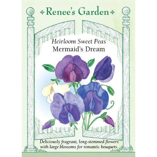 Mermaid's Dream Sweet Pea Renee's Garden