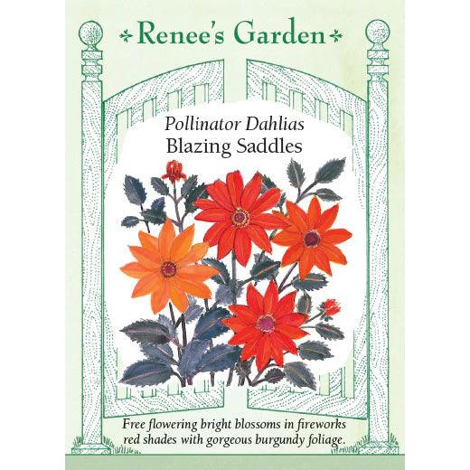 Blazing Saddles Dahlia Renee's Garden