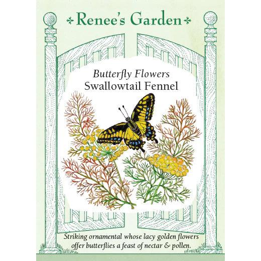 Swallowtail Fennel Renee's Garden
