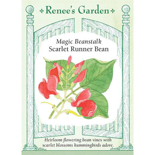 magic seeds garden Renee's Garden Magic Beanstalk Scarlet Runner Bean Seeds