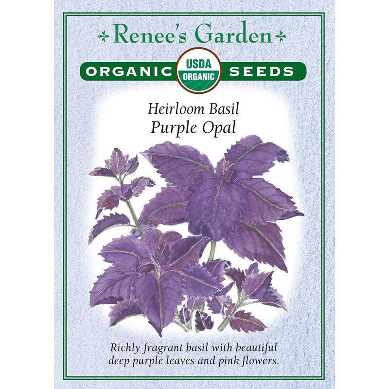Purple Opal Basil (Organic) Renee's Garden