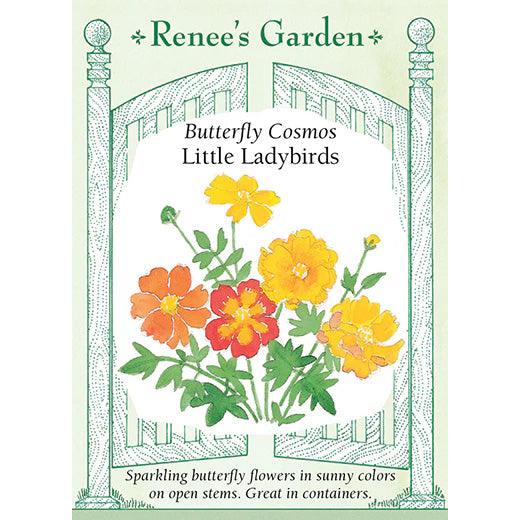 Little Ladybirds Cosmos Renee's Garden