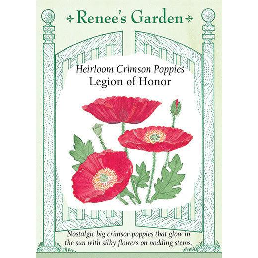 Shirley Legion of Honor Poppy Renee's Garden