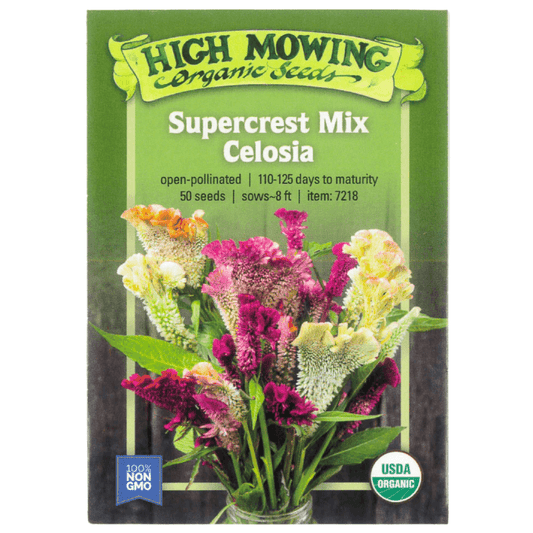 Supercrest Celosia (Organic) High Mowing Seeds