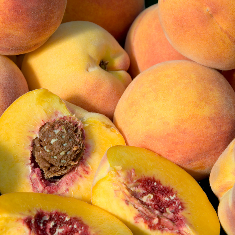 California Peach, 3 on 1 Multi Grafted Fruit Tree Grow Organic