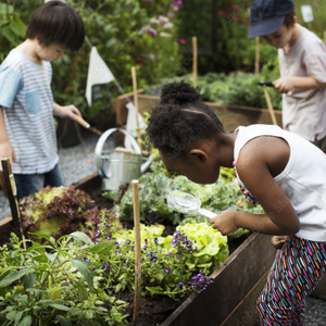School Garden Program
