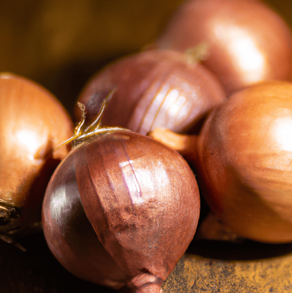 Organic French Red Shallots (lb) Grow Organic