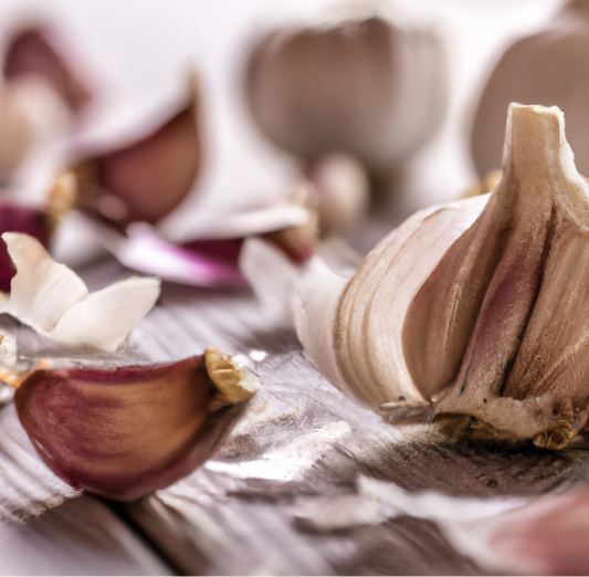 Conventionally Grown Garlic, Spanish Roja (lb)
