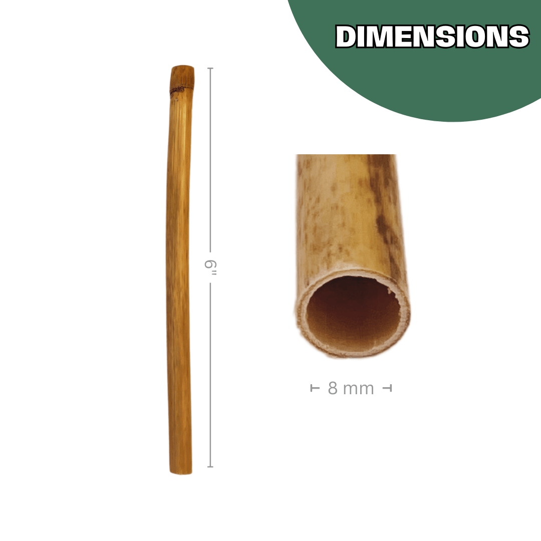 Spring Natural Reeds for Mason Bees - 8mm CrownBees