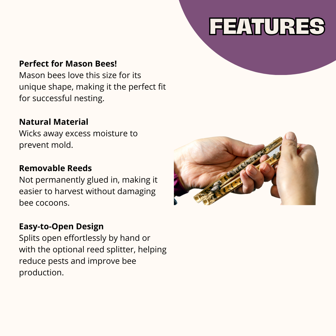 InvitaBee Mason Bee Attractant CrownBees