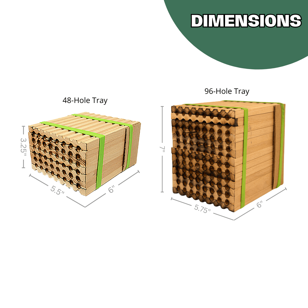 Spring Reusable Wood Trays for Mason Bees - 8mm CrownBees