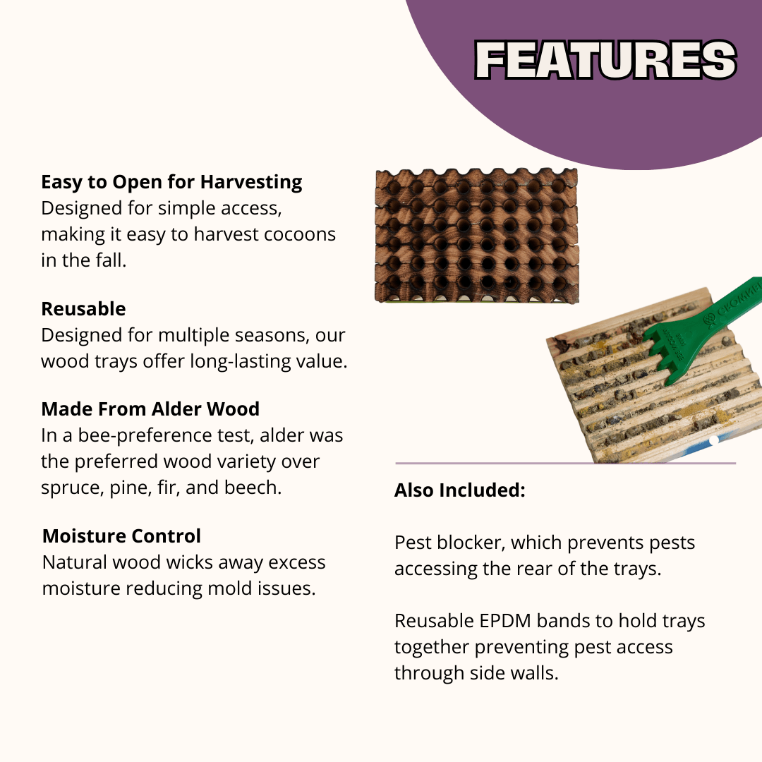 Spring Reusable Wood Trays for Mason Bees - 8mm CrownBees
