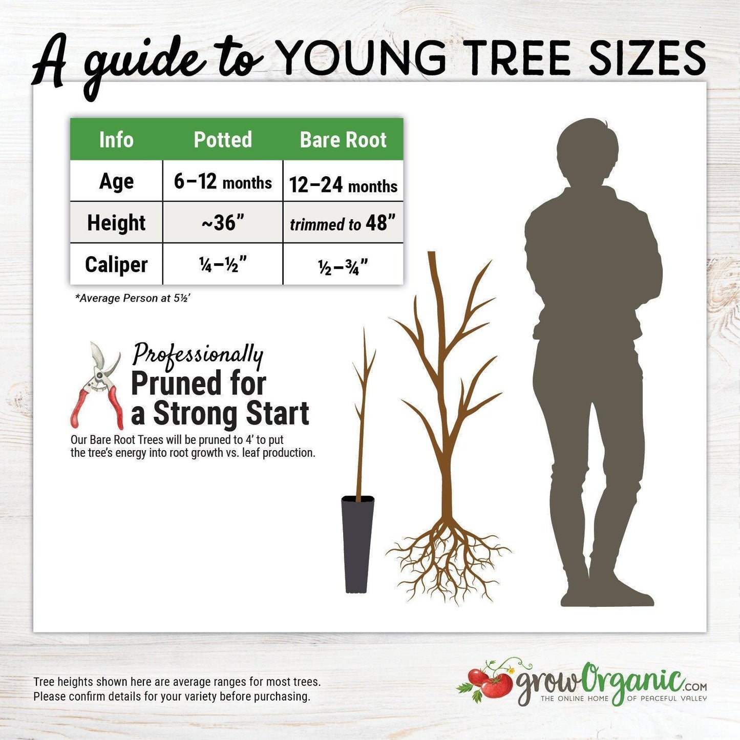 Tree size guide - grow organic