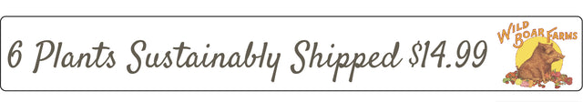 Trust Badge WB Farms Shipping