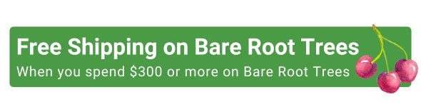 Free Shipping Offer banner when you spend $300+ on Bare Root Trees