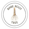 Bare Root Tree Trust Icon