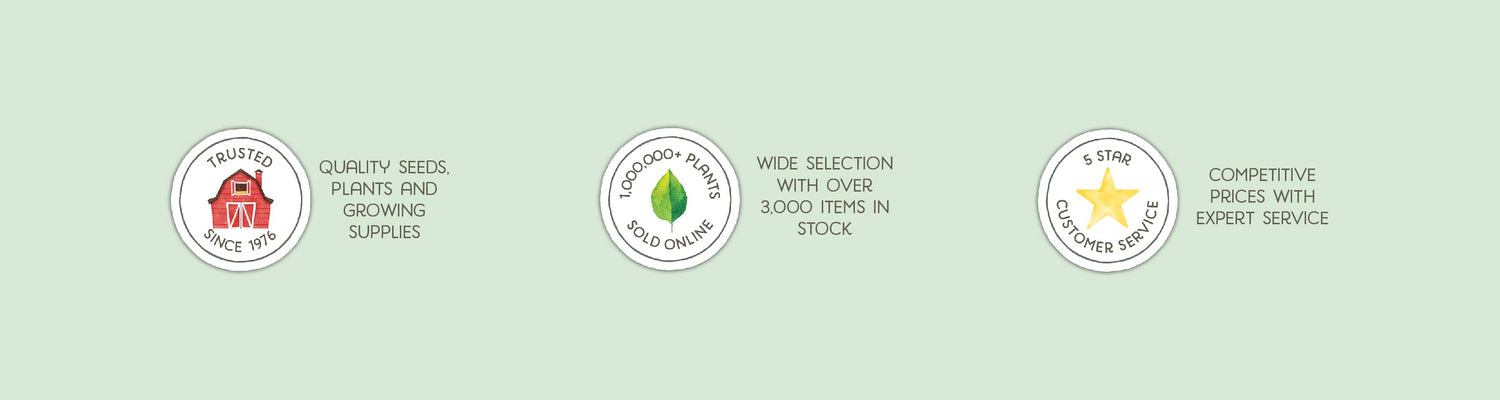 3 trust building icons on a light green background