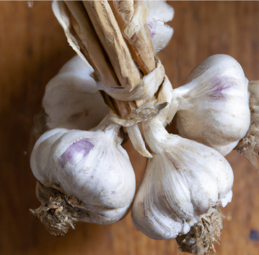 Conventionally Grown Garlic, Purple Italian (lb)