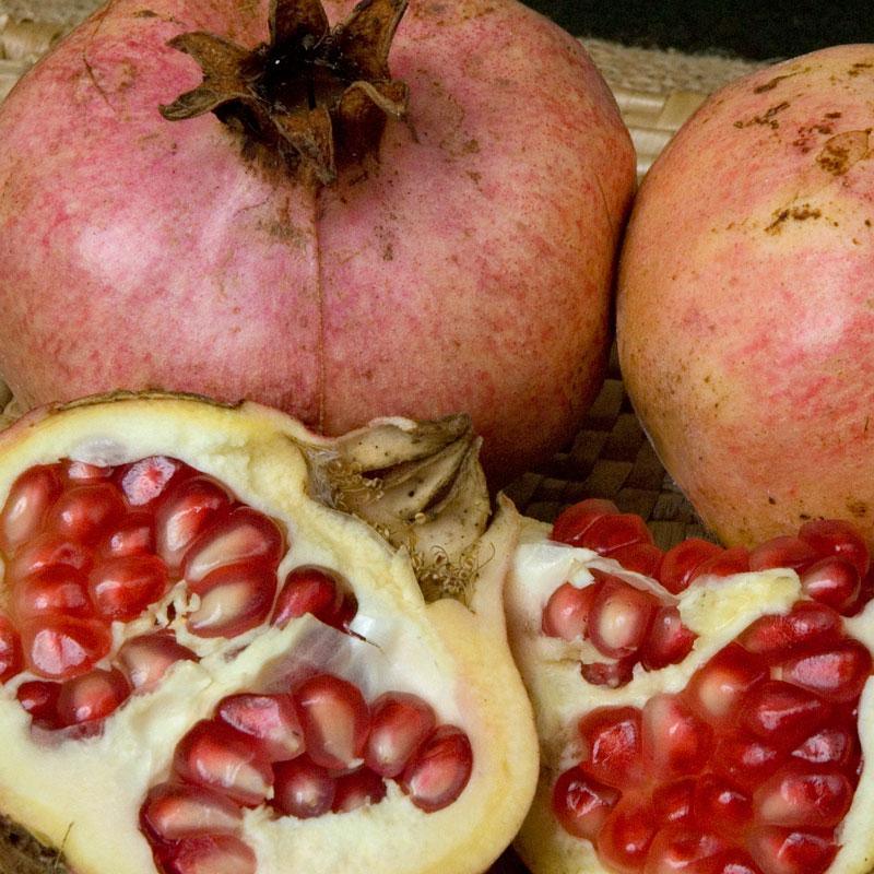 Ambrosia Pomegranate Tree Grow Organic