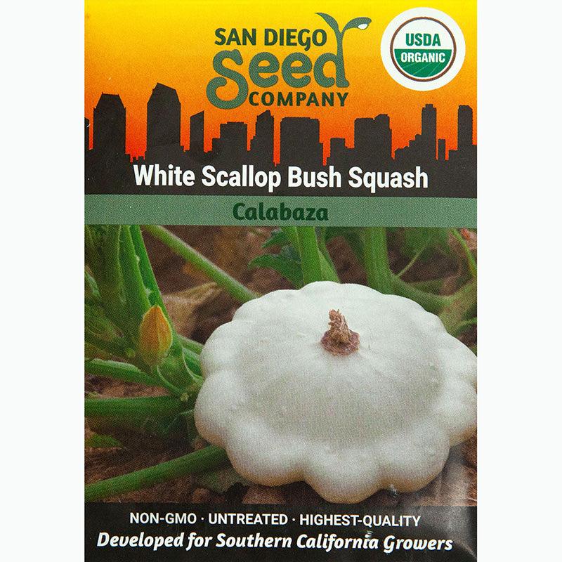 White Scallop Bush Summer Squash Seeds (Organic) San Diego Seed Company
