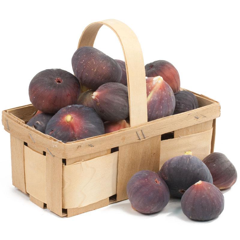 Black Mission Fig Tree Grow Organic