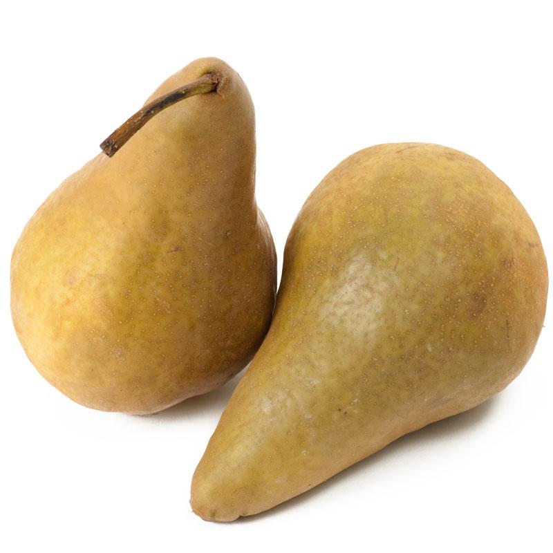 http://www.groworganic.com/cdn/shop/files/bosc-pear-tree-european-type-semi-dwarf.jpg?v=1693505662