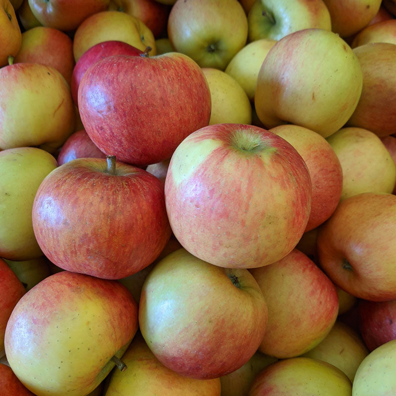 Nature's Promise Organic Apples Braeburn