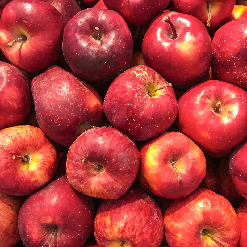 Calville Rogue Apple Tree Felix Gillet Institute