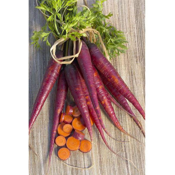 Cosmic Purple Carrot Seeds (Organic) Peaceful Valley