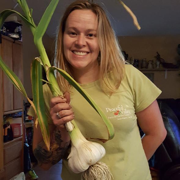 Elephant Garlic (Lb) Grow Organic