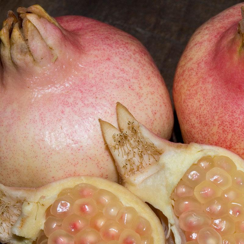 Eversweet Pomegranate Tree Grow Organic