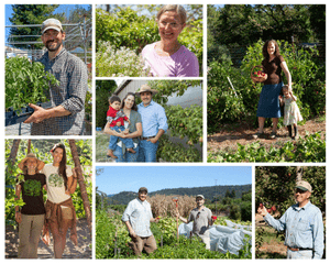 Collage of diverse gardeners and farmers smiling in their gardens with fresh produce, flowers, and children among plants and crops